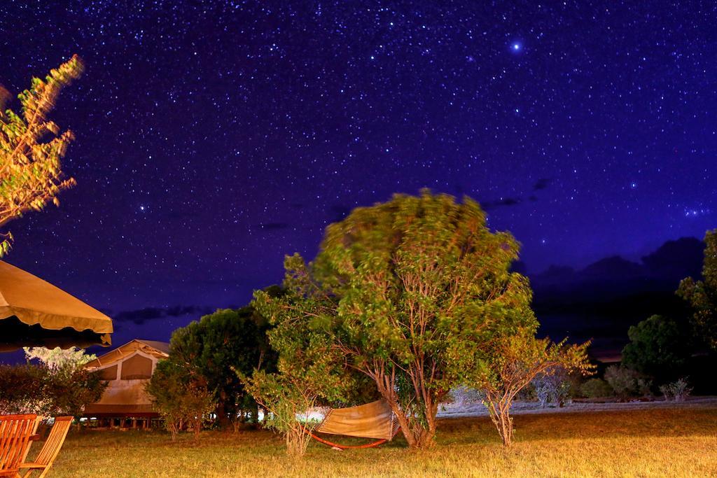Готель Loyk Mara Luxury Camp Масаї-Мара Номер фото